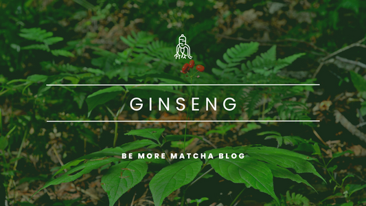 Discover the Benefits of Ginseng: How It Can Improve Mental Performance and Focus