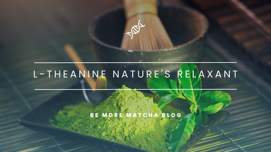 Introduction to L-theanine: Nature's Relaxant